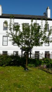 Ashmead’s Kernel (eating apple) in Hollins Close, Bridge Street